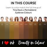 Colour Course Video Tutorial